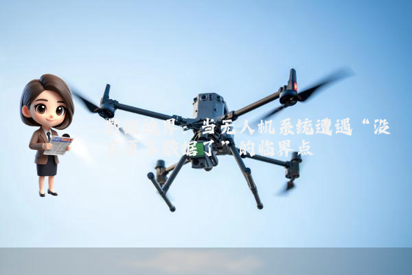 数据边界：当无人机系统遭遇“没有更多数据了”的临界点