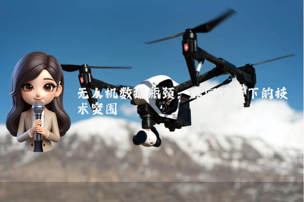 无人机数据瓶颈:真实场景下的技术突围
