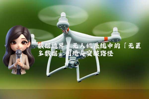 数据边界:无人机系统中的「无更多数据」困境与突破路径