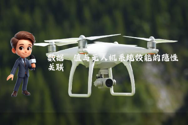 数据阈值与无人机系统效能的隐性关联
