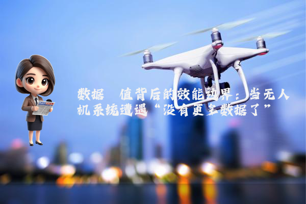 数据阈值背后的效能边界：当无人机系统遭遇“没有更多数据了”