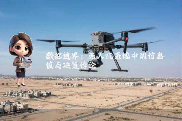 数据边界：无人机系统中的信息阈值与决策悖论