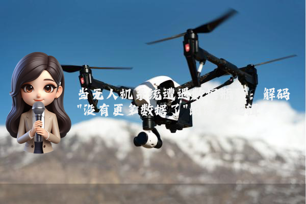 当无人机系统遭遇数据瓶颈：解码