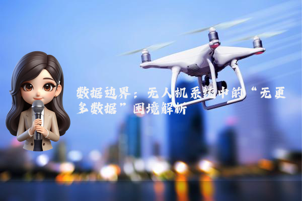 数据边界：无人机系统中的“无更多数据”困境解析
