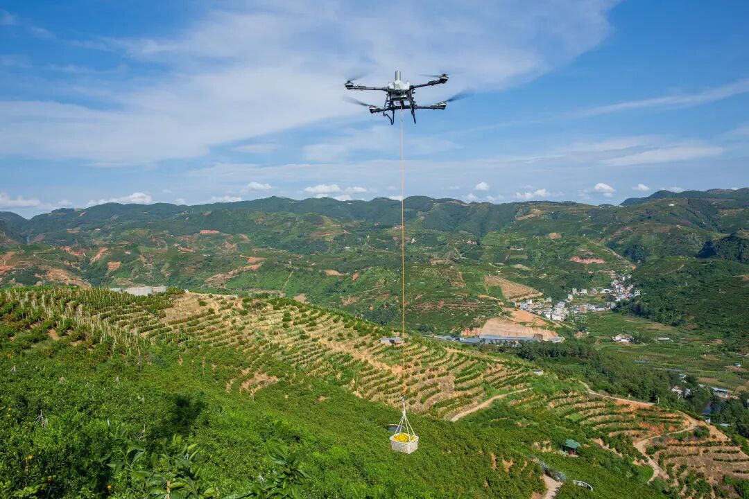 大疆农业无人机在山区吊运脐橙