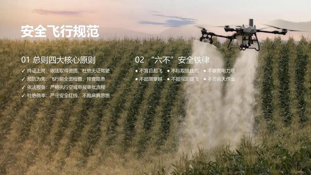 《白皮书》安全飞行规范